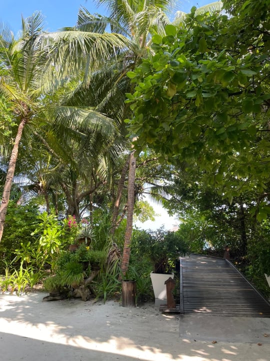 Gartenanlage Reethi Beach Resort