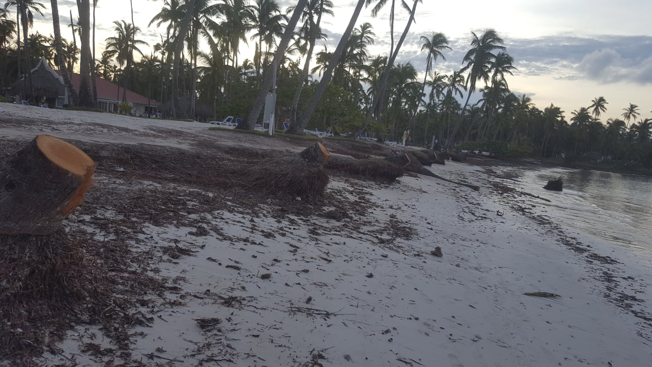 Strand Wyndham Alltra Samana