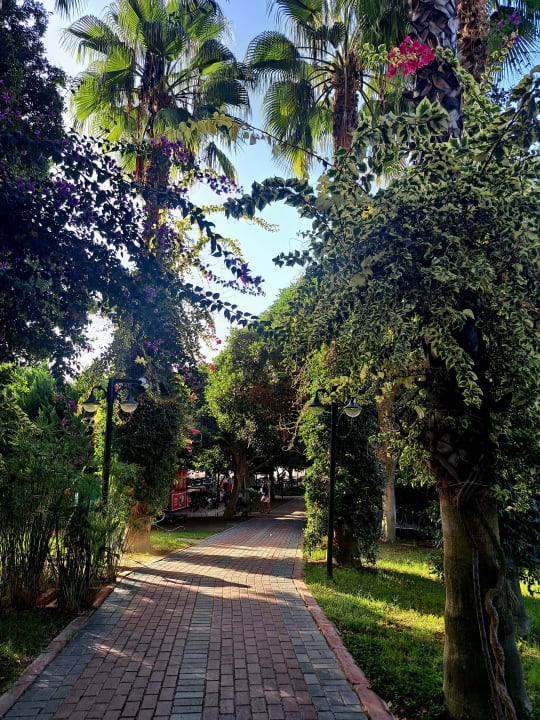 Gartenanlage Hotel Gardenia Beach
