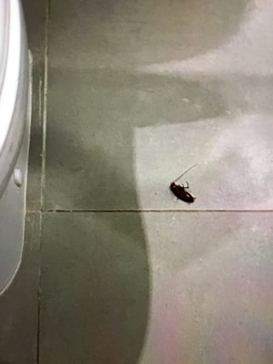 Zimmer Lotus Bay Beach Resort