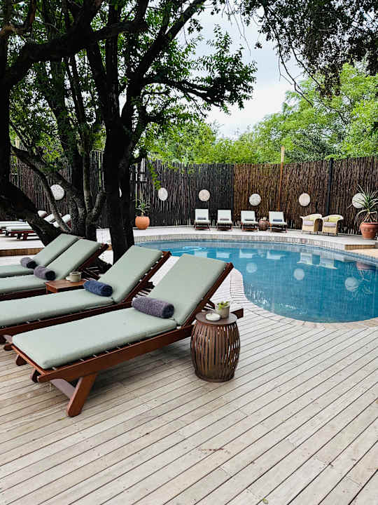 Pool Sabi Sabi Bush Lodge