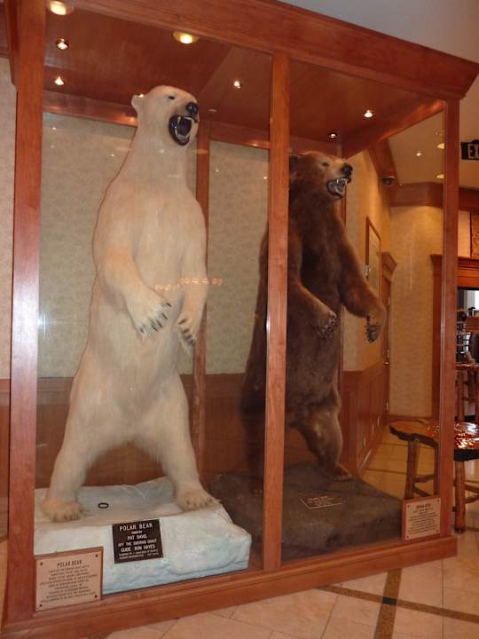 Schaukasten in der Lobby Hotel Hilton Anchorage