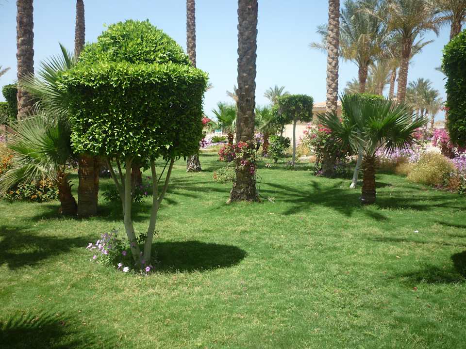 ТЕРРИТОРИЯ  Le Jardin Aqua Park Resort