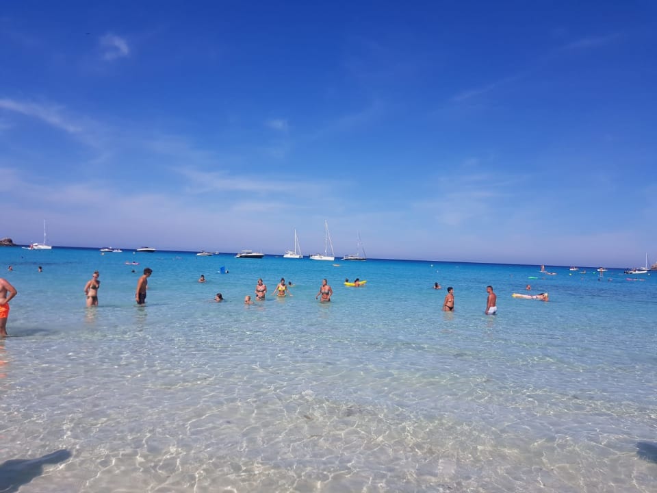 Strand HSM Regana - Adults Only