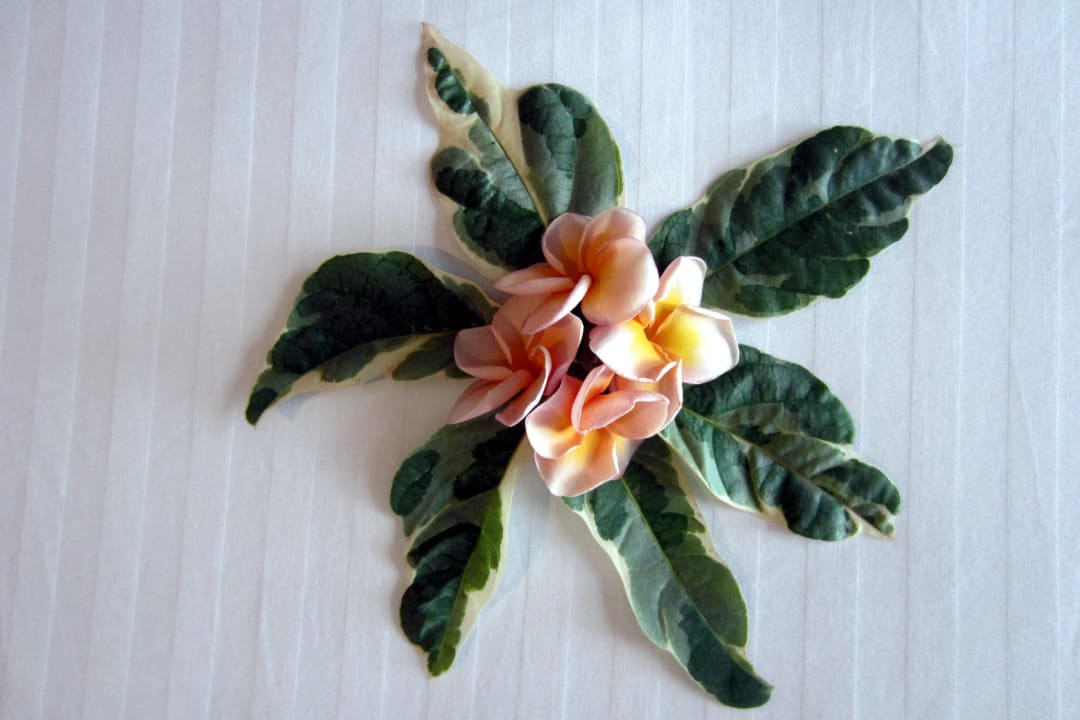 Gruß der Zimmerfee The Fair House Beach Resort