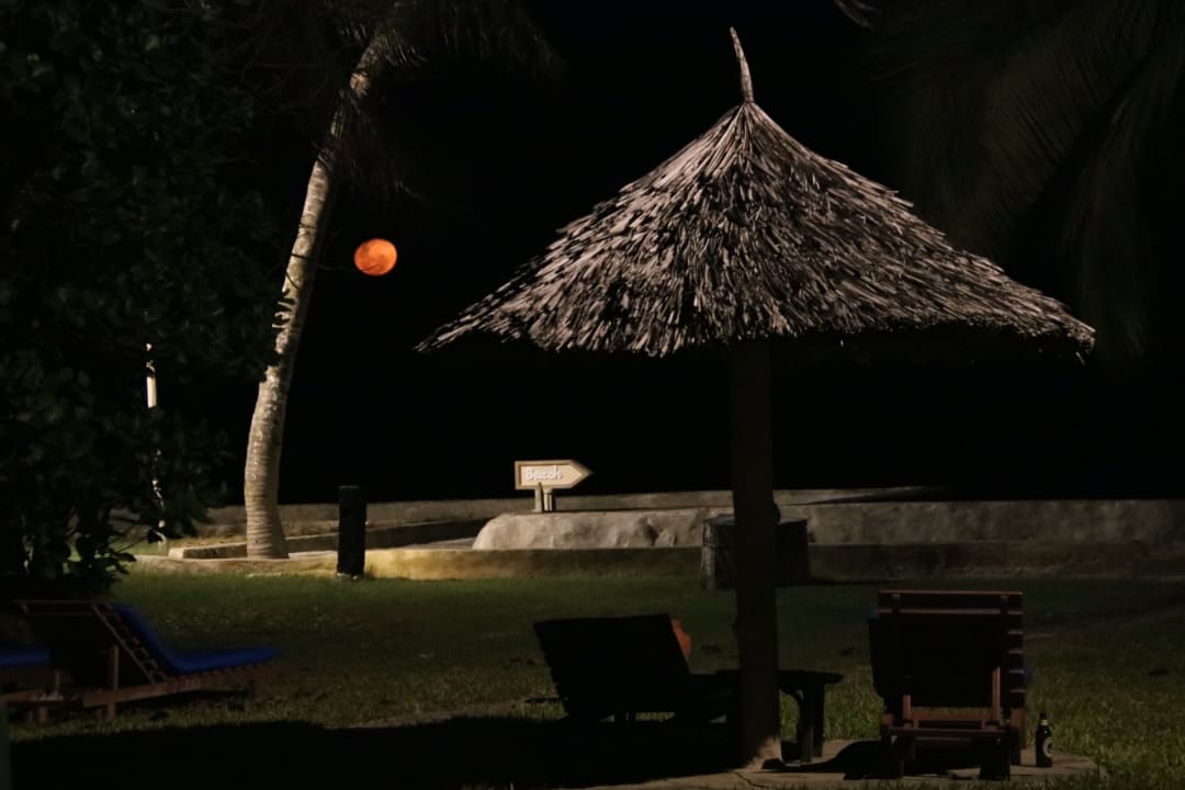 Gartenanlage Neptune Palm Beach Boutique Resort & Spa