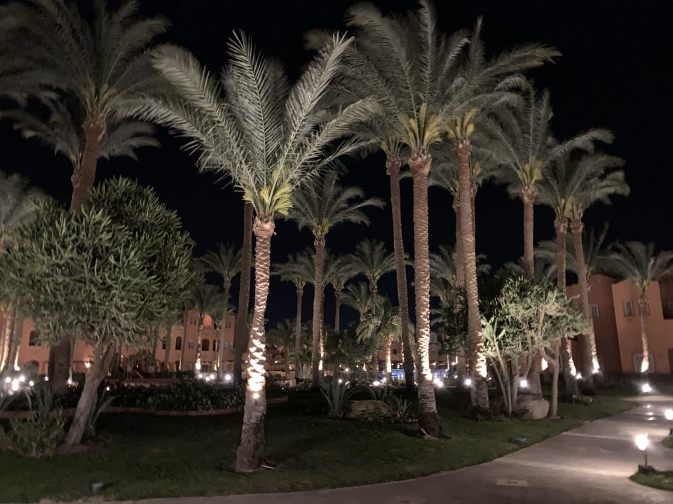 Zimmer Jaz Makadi Oasis Resort