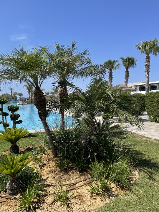 Garten TUI BLUE Palazzo del Mare