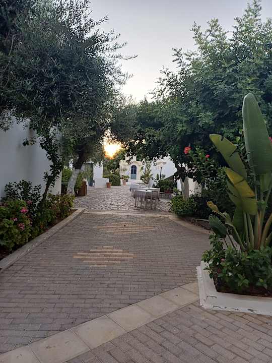 Gartenanlage Amnissos Residence