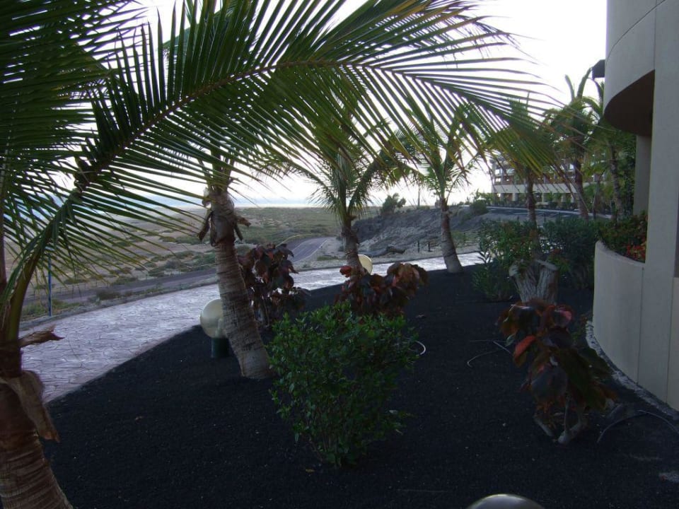 Außenansich auf der Strandseite des Hotels Iberostar Selection Fuerteventura Palace