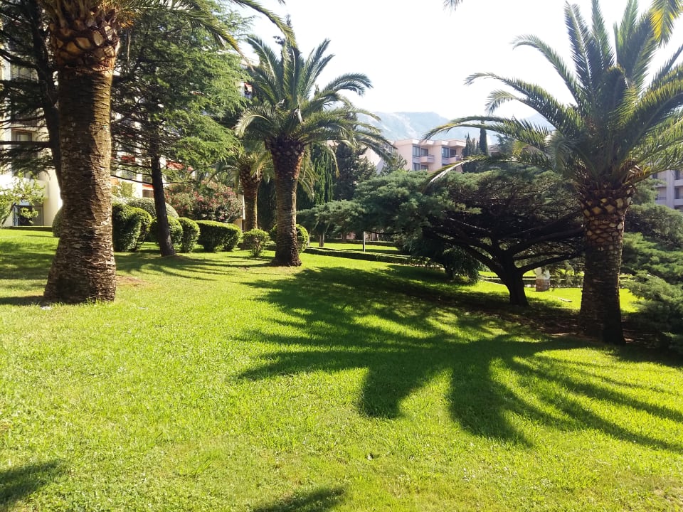 Gepflegter Garten Iberostar Waves Bellevue