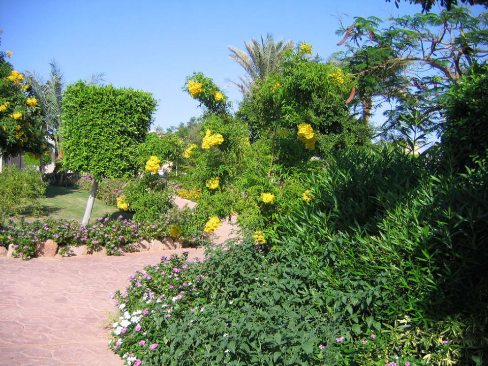 Ogród Hotel Nubian Village