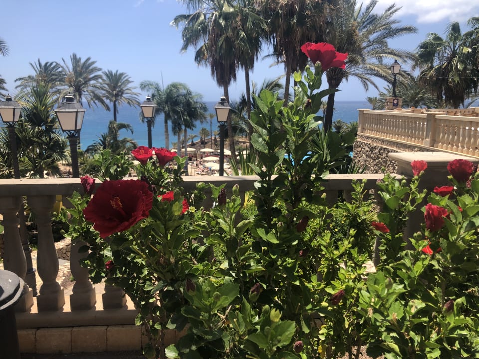 Gartenanlage R2 Rio Calma Hotel & Spa & Conference