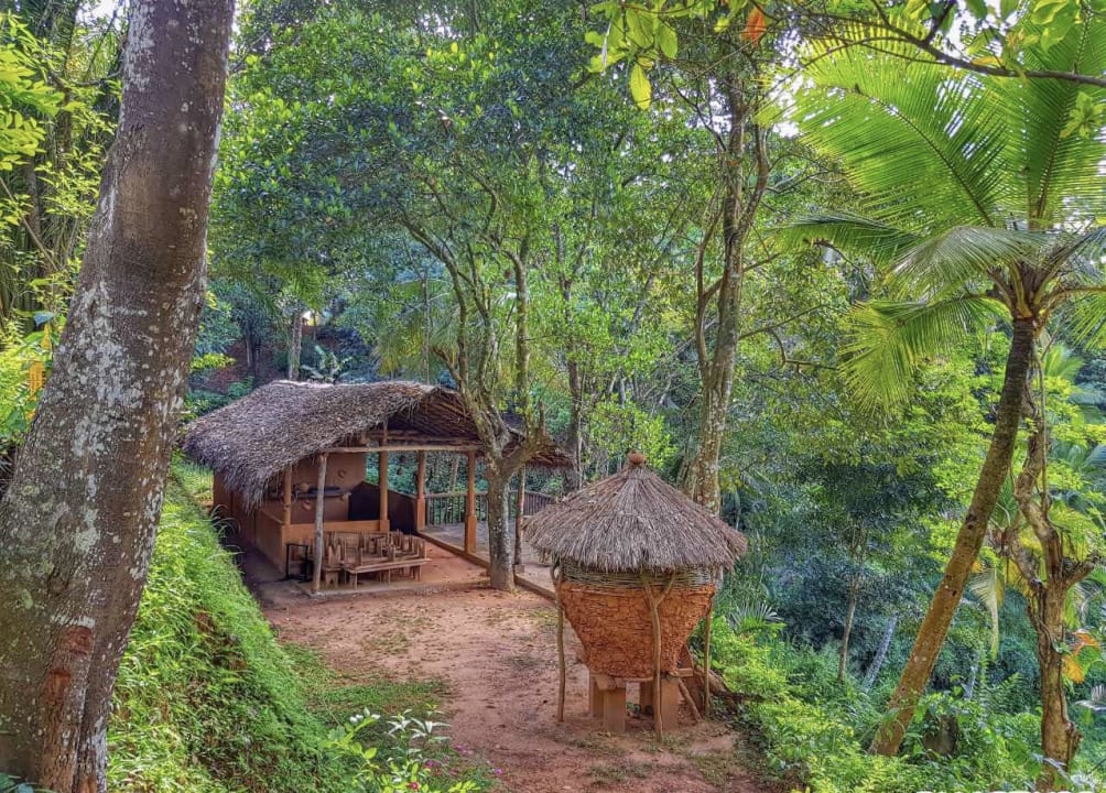 Außenansicht Hotel Tree of Life Nature Resort