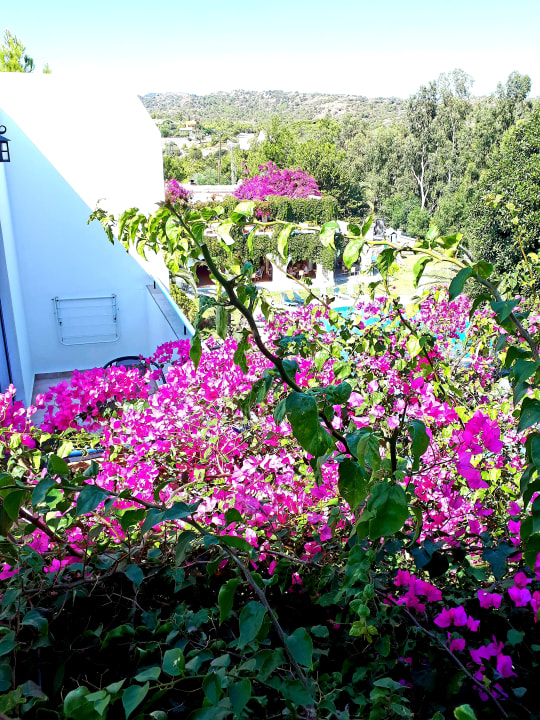 Ausblick Ekaterini Hotel