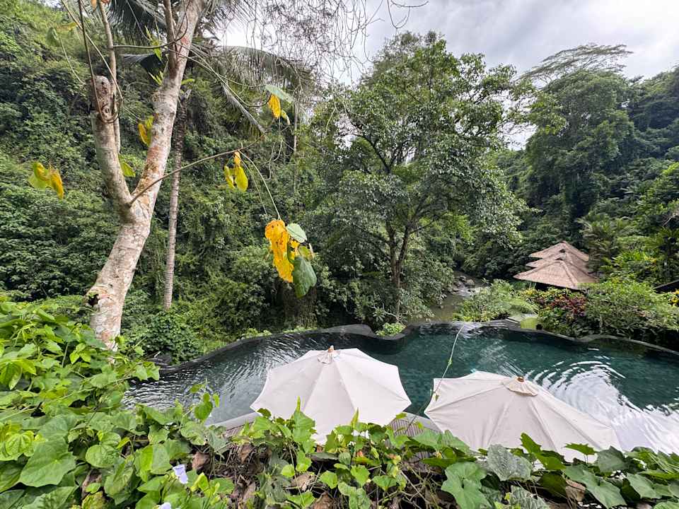 Pool Maya Ubud Resort & Spa Bali