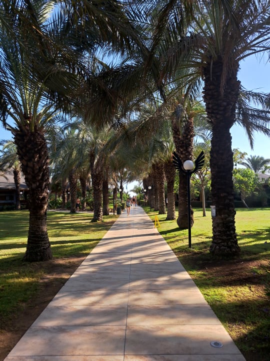 Gartenanlage Royal Wings Hotel