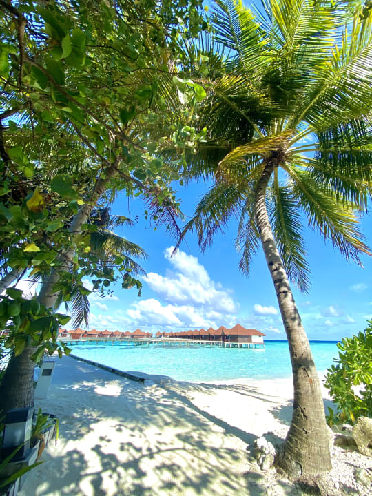 Strand ROBINSON MALDIVES