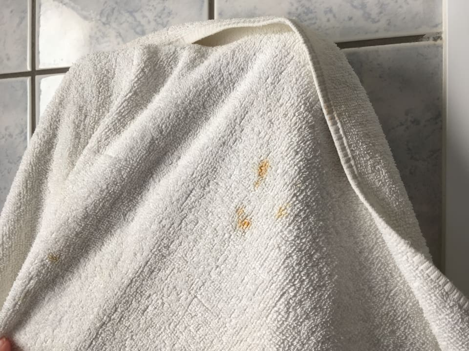 Zimmer Hotel Dedalos Beach