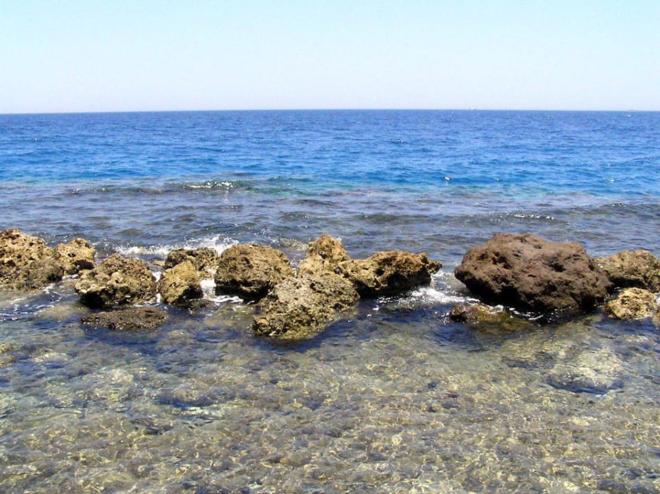 Небольшая "полоса препятствий" у рифа Pickalbatros Citadel Resort