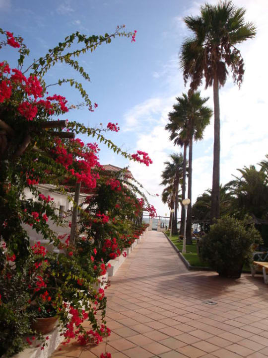 Weg durch Garten zum Strand Hotel Playa de la Luz