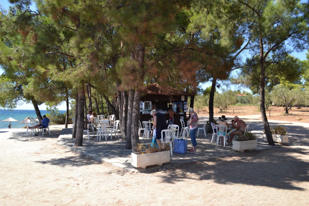 Strandbar Blue Dolphin Resort Hotel
