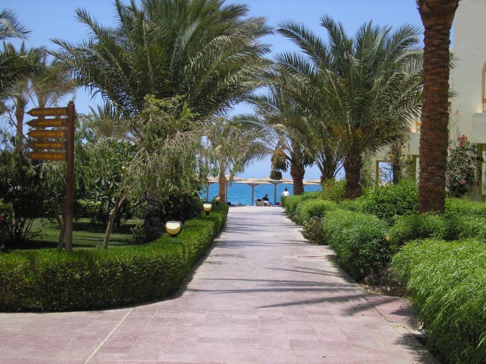 Weg zum Strand Palm Beach Resort