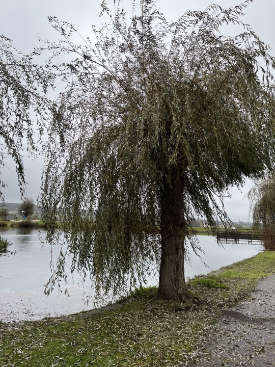 Gartenanlage Ferienpark Landal Hoog Vaals