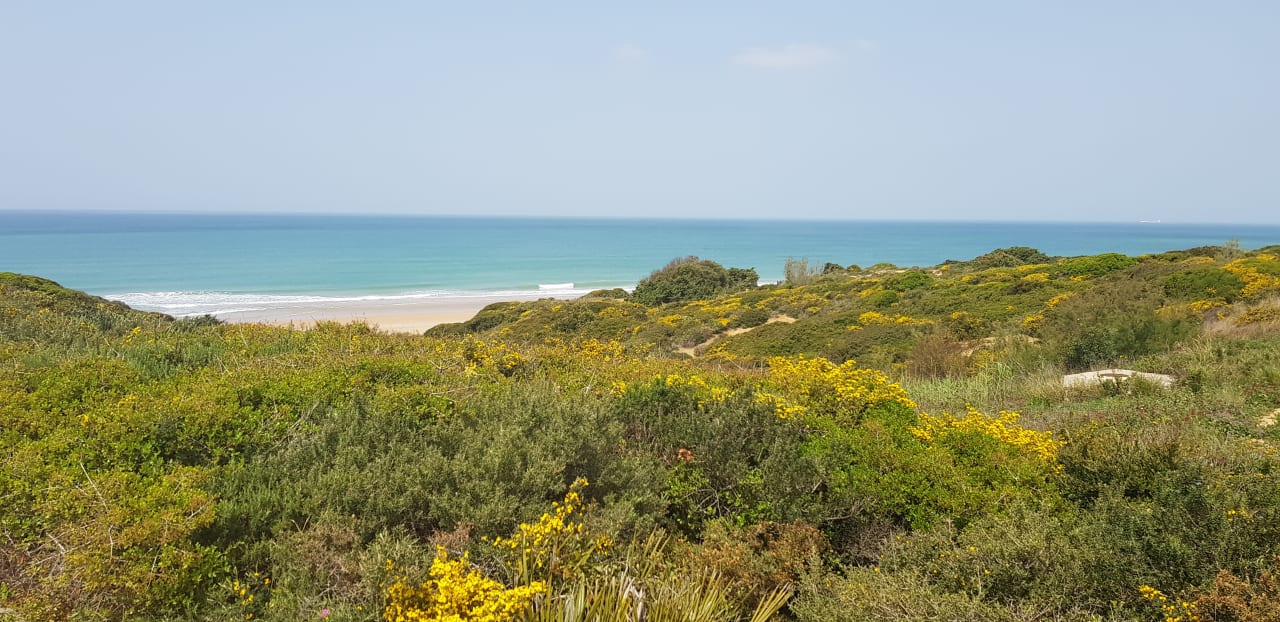 Strand Aldiana Club Andalusien