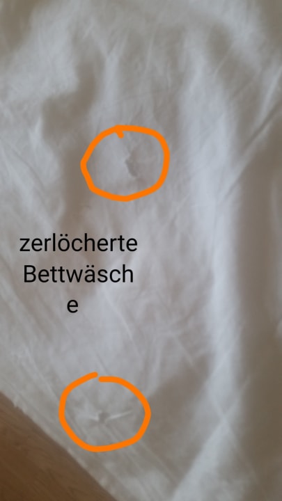 Zimmer Seaden Sea World Resort & Spa