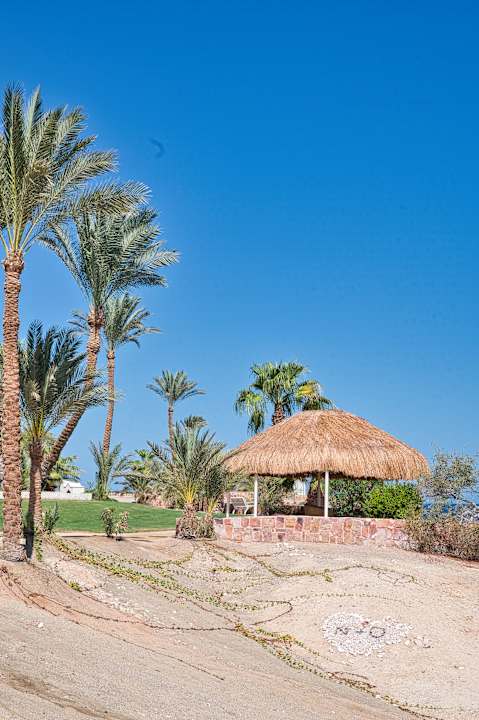 Gartenanlage Steigenberger Coraya Beach - Adults only