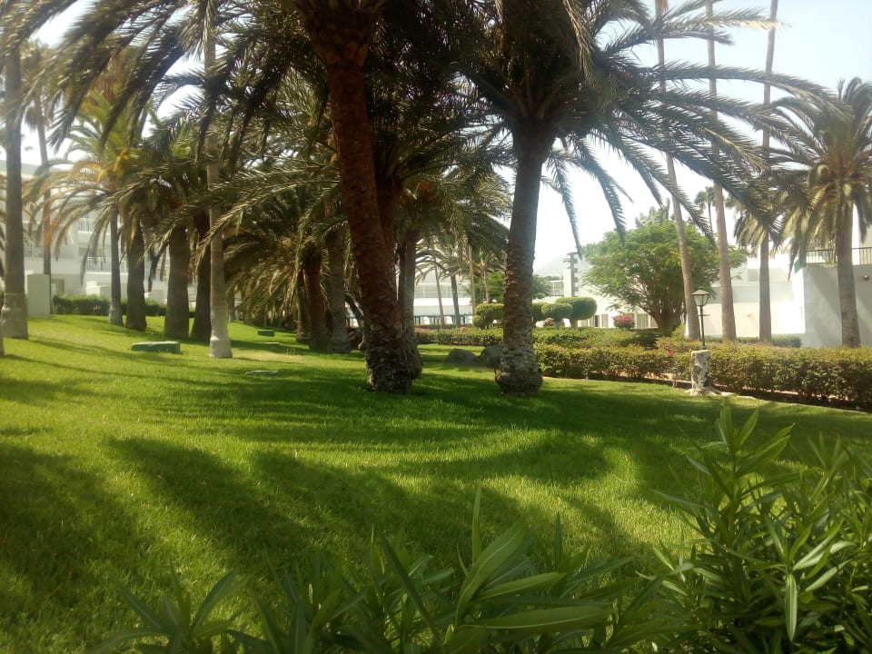 Gartenanlage Hotel Riu Paraiso Lanzarote