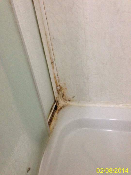 Schimmel in Duschkabine The Park Hotel