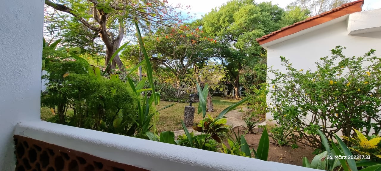 Ausblick Hotel Diani Sea Lodge