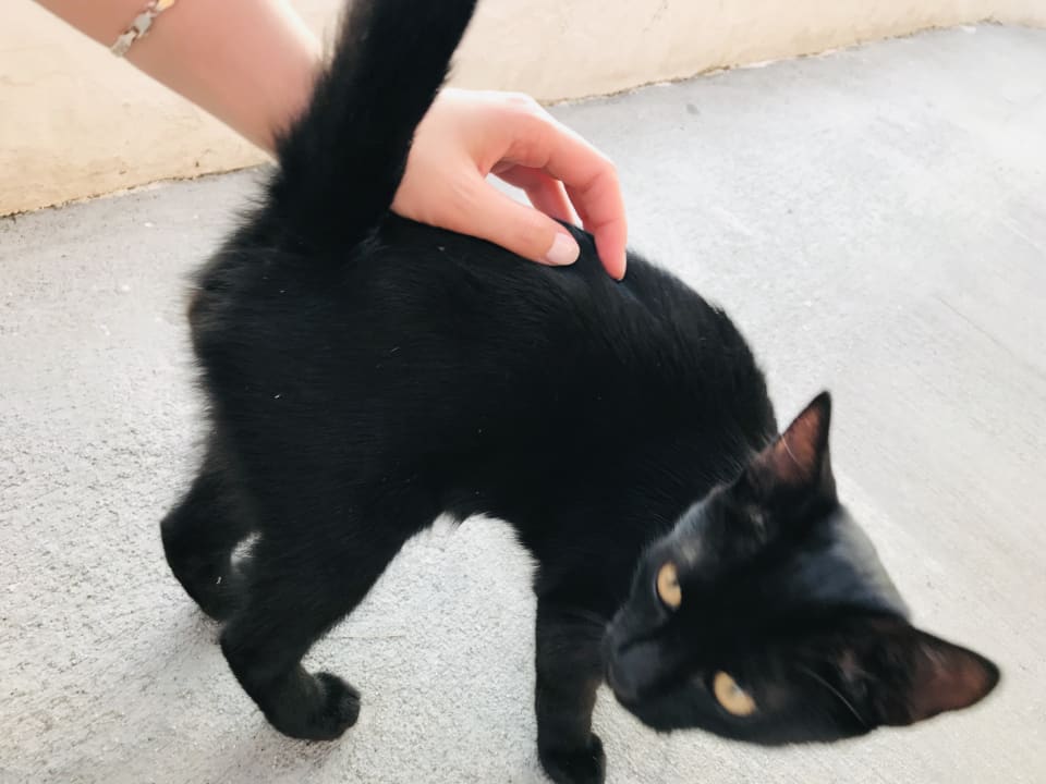 Sonstiges Labranda Alantur Resort