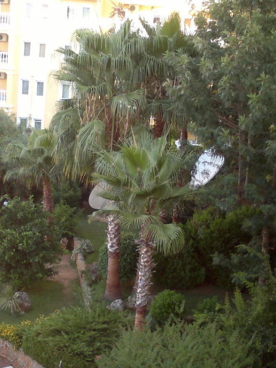 Garten Hotel Club Paradiso