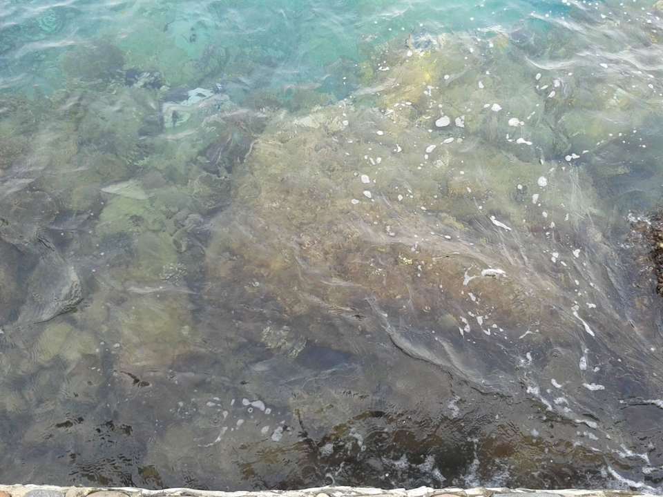 Wasser Arabella Azur Resort