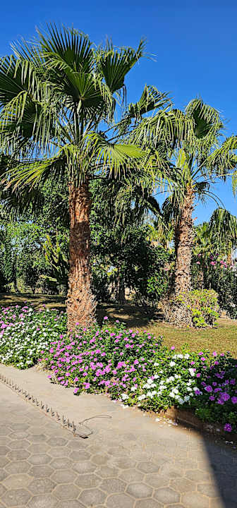 Gartenanlage Wadi Lahmy Azur Resort