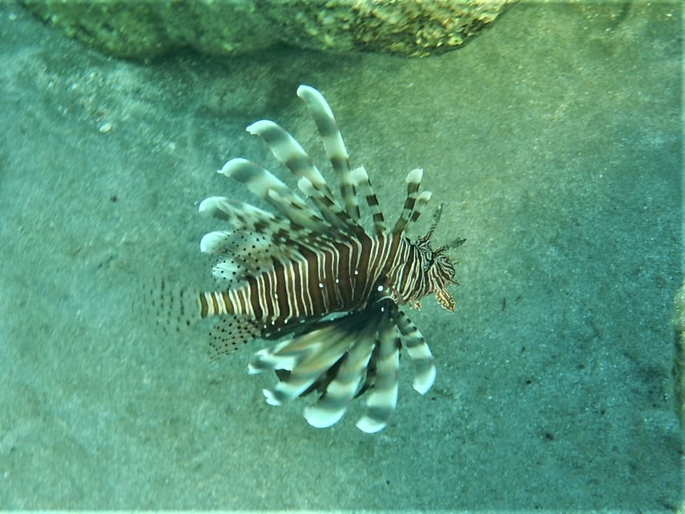 Sport & Freizeit Malikia Resort Abu Dabbab