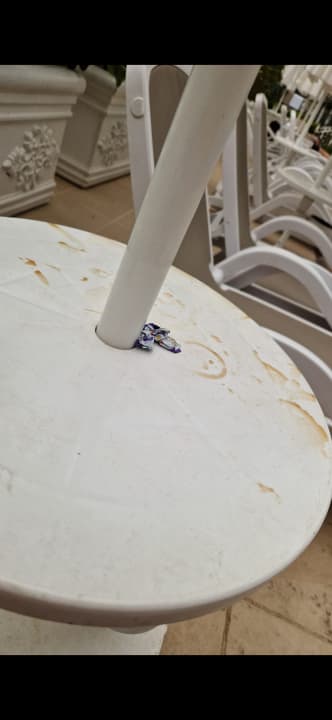 Pool Well Palace Side