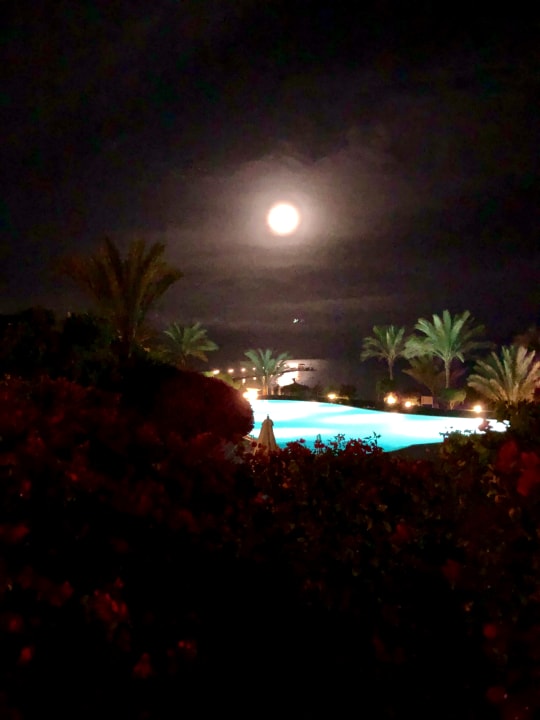 Ausblick TUI MAGIC LIFE Kalawy