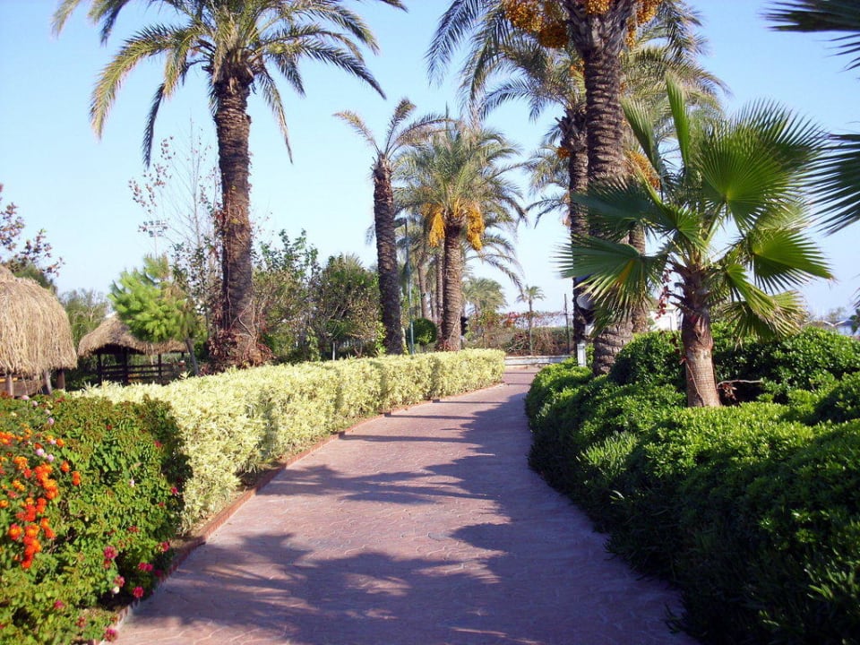 Weg den Strand entlang Hotel Miracle Resort