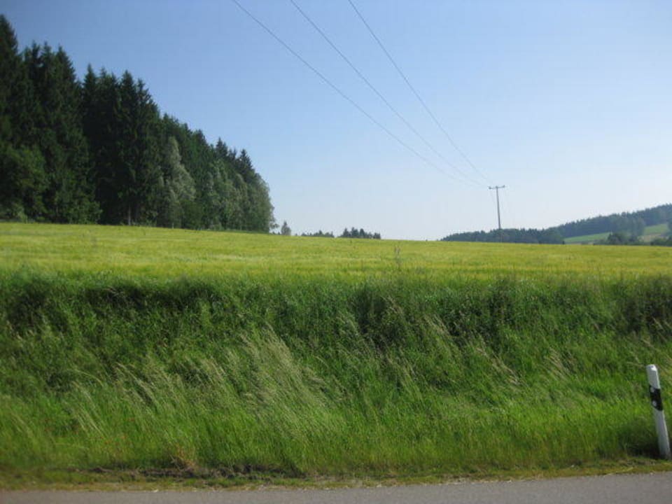 Richtung Wald Pension Hammerschänke