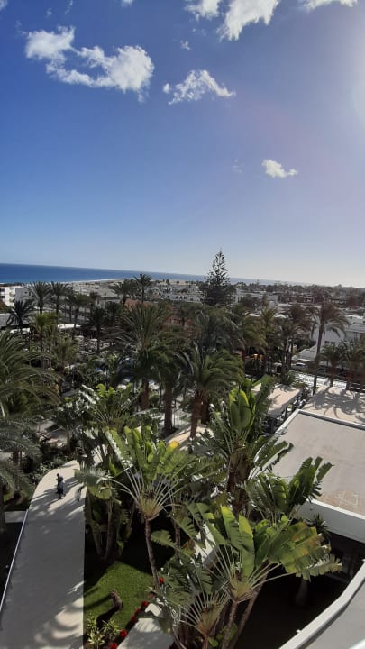 Ausblick Hotel Riu Palace Palmeras