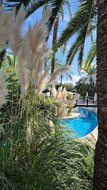 Gartenanlage Prinsotel La Dorada