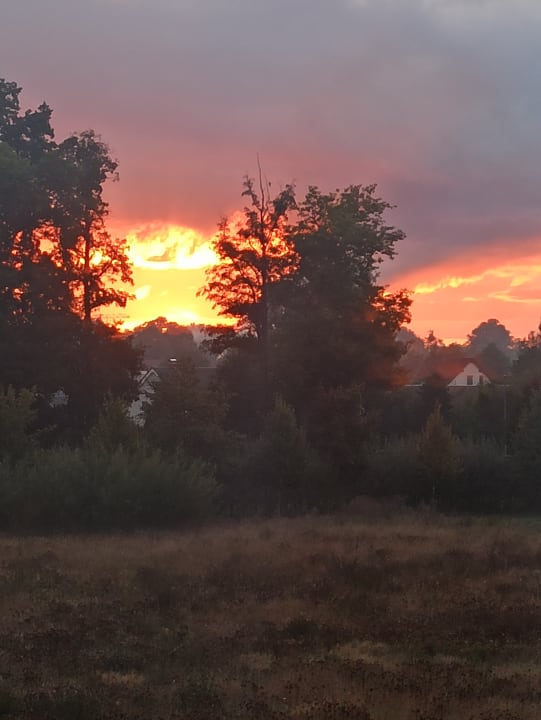 Ausblick Spreewald Thermenhotel