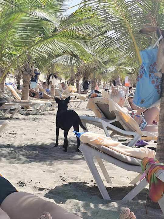 Strand Hotel Riu Karamboa