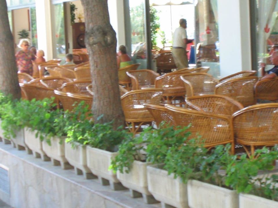 Terrasse Hotel Grand Efe