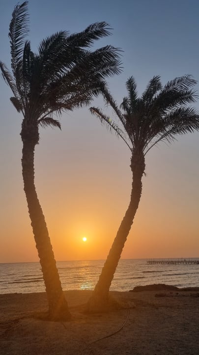 Strand Malikia Resort Abu Dabbab