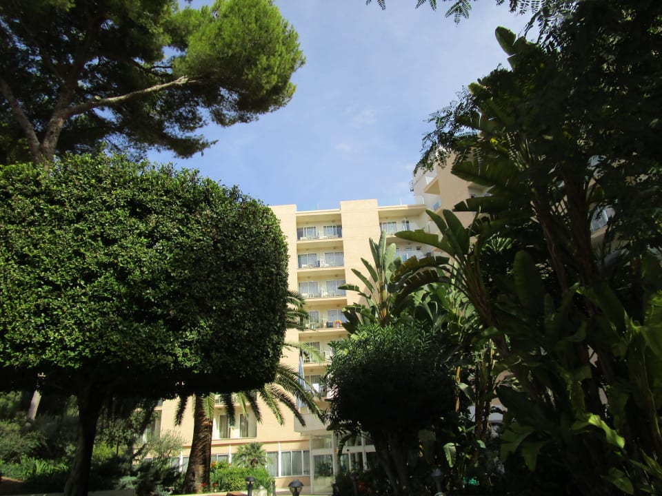 Von der Bar aus Grupotel Orient